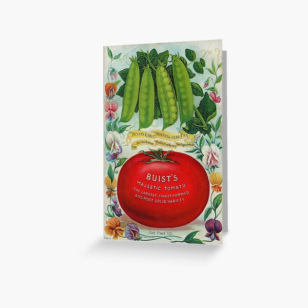Aperçu de l'œuvre Tomate Majestic – Illustration publicitaire d'un catalogue de semences vintage créée et vendue par NiobesSkein.