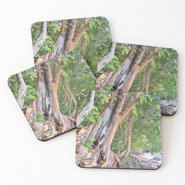 Item preview, Weathered Coast designed and sold by Quantum-Life.