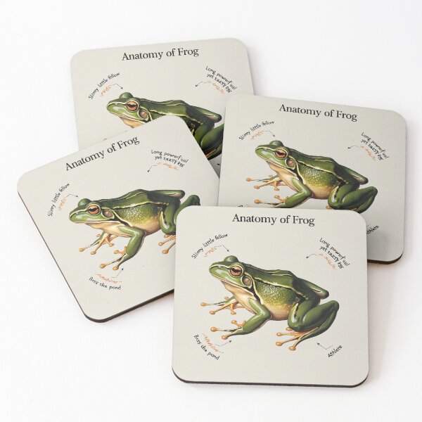 Item preview,  Anatomy of a Frog designed and sold by Vintage Designs +.