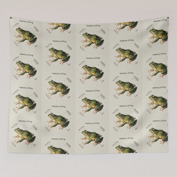 Item preview,  Anatomy of a Frog designed and sold by Vintage Designs +.