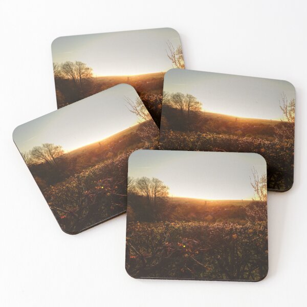 Item preview, Over The Hedge designed and sold by Vicki Spindler (VHS Photography).