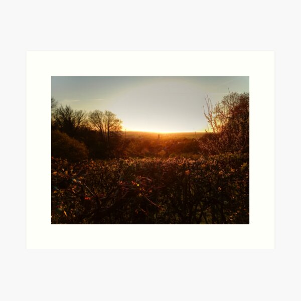 Item preview, Over The Hedge designed and sold by Vicki Spindler (VHS Photography).