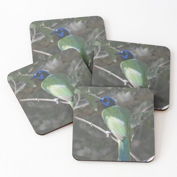 Item preview, Green Jay designed and sold by EnglandEcology.