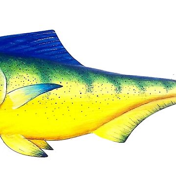 Imagen de la obra Pez mahi de garyboswellart