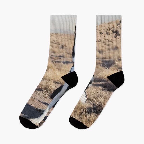 Item preview, K9 designed and sold by Grandcreators.