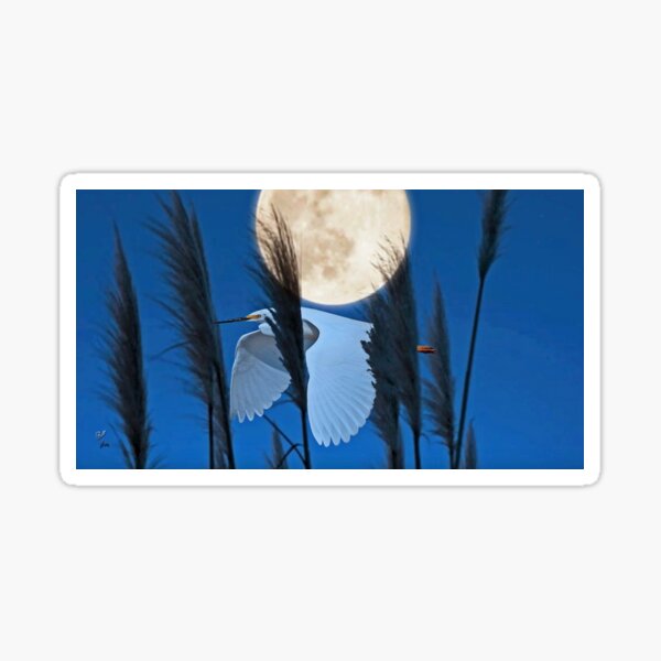 Item preview, Egret by Moonlight designed and sold by billfox256.