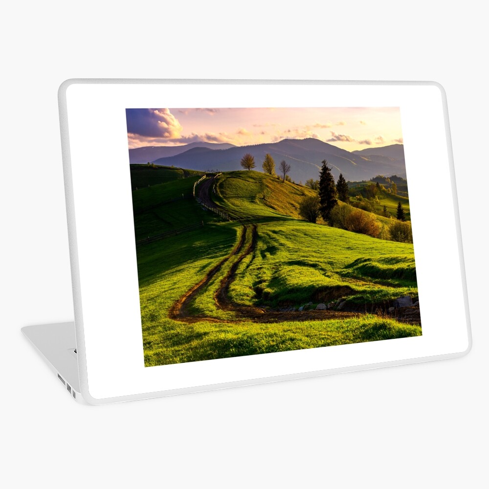 Item preview, Laptop Skin designed and sold by mike-pellinni.