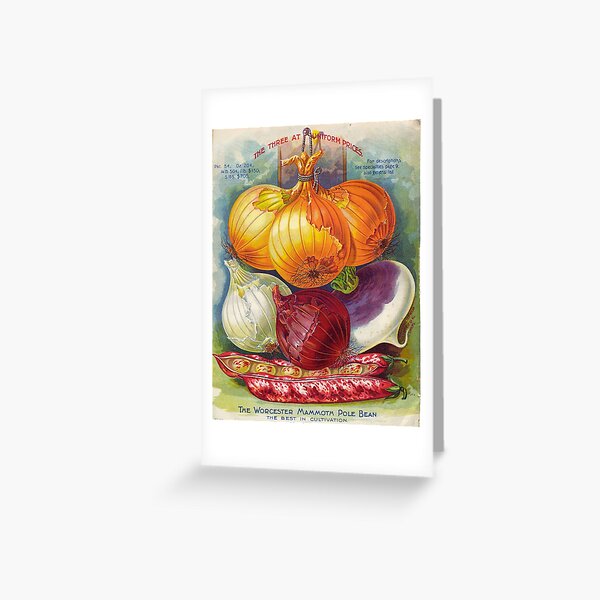 Aperçu de l'œuvre Art de cuisine vintage – Publicité imprimée sur des oignons, des haricots et des navets anciens créée et vendue par NiobesSkein.