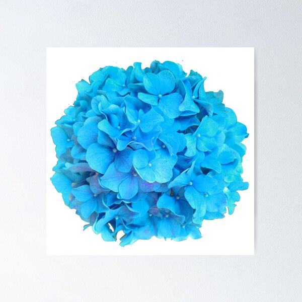 Item preview,  Romantic teal blue cottage core floral | teal hydrangea, blue flower, blue floral  designed and sold by hollycooper.