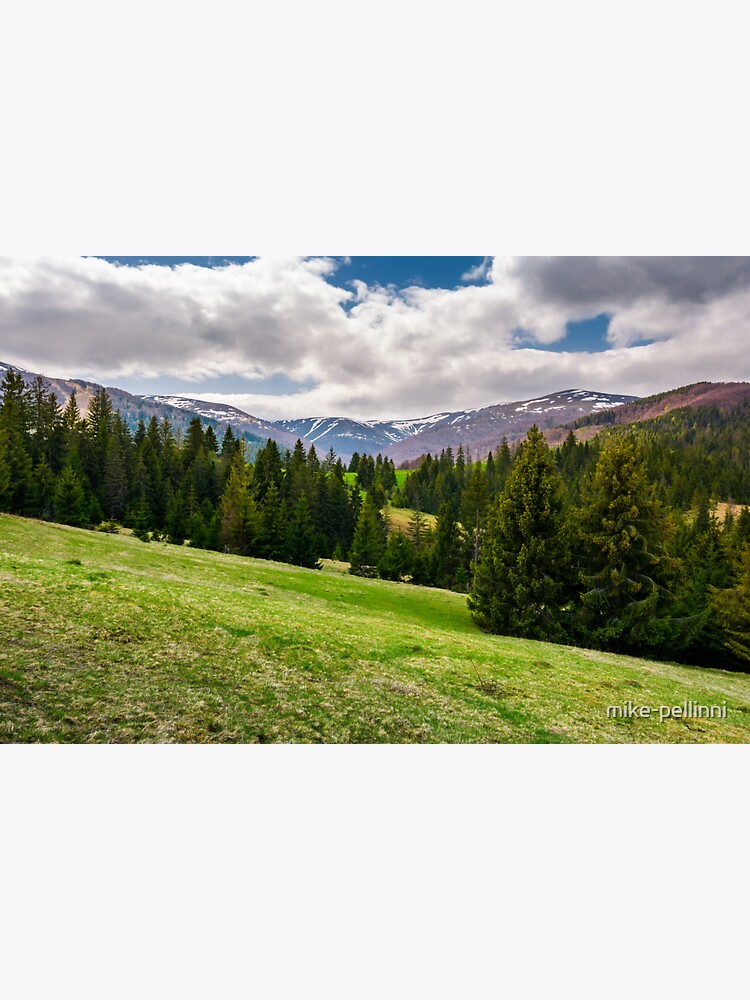 beautiful landscape with spruce forest by mike-pellinni