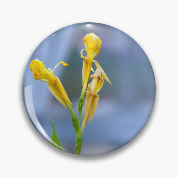 Item preview, Canna Lily Flower designed and sold by MercerImages.
