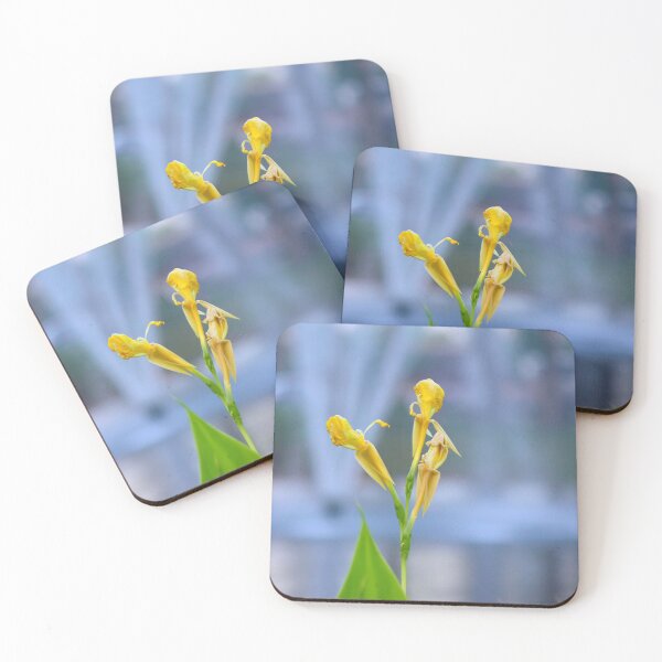 Item preview, Canna Lily Flower designed and sold by MercerImages.