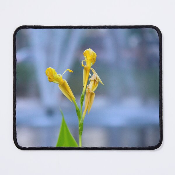 Item preview, Canna Lily Flower designed and sold by MercerImages.