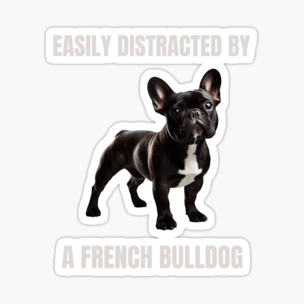 Vista previa del artículo con la obra «Se distrae fácilmente con un bulldog francés», diseñado y vendido por Now's Good Designs.