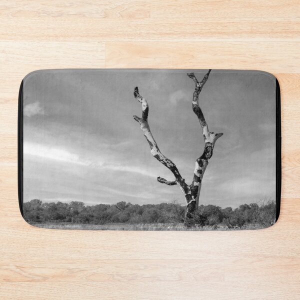 Item preview, Black and White Fire Scarred Cottonwood designed and sold by Debra Martz.