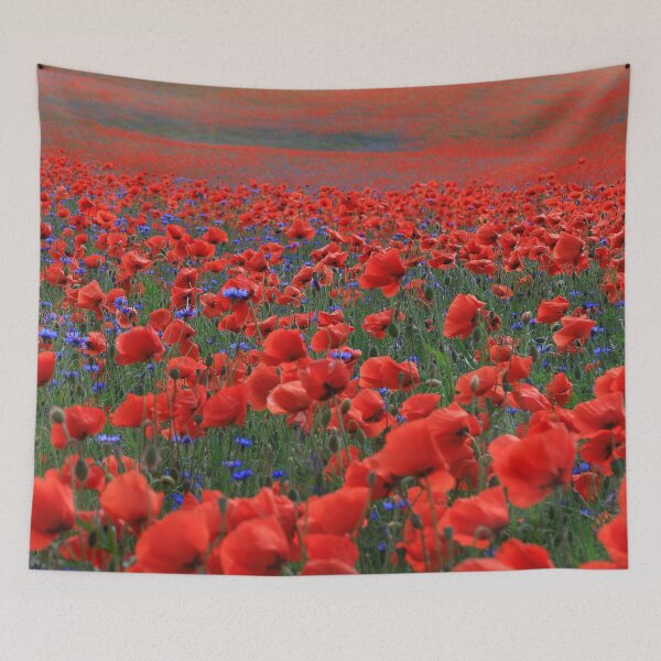 Artikelvorschau, Feld mit wunderschönen roten Mohnblumen entworfen und verkauft von KaSaPo.