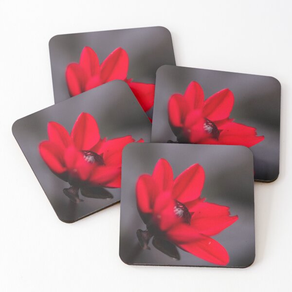 Item preview, red flower on a dark background designed and sold by Slalon85.