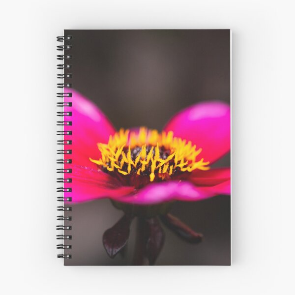 Item preview, bright pink flower on a dark background designed and sold by Slalon85.