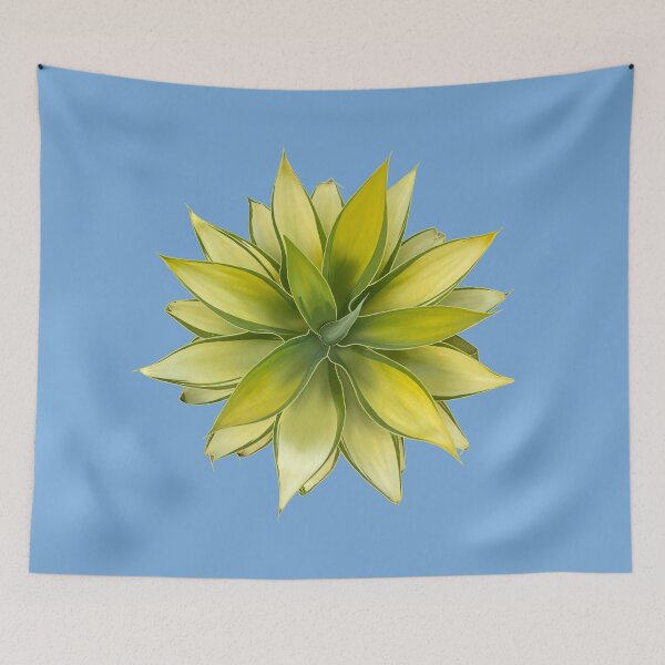 Item preview, Pointed Succulent Aloe Vera Plant designed and sold by EschatonGarden.
