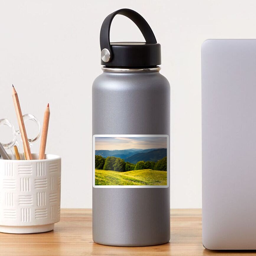 forest on a grassy meadow in mountains Sticker