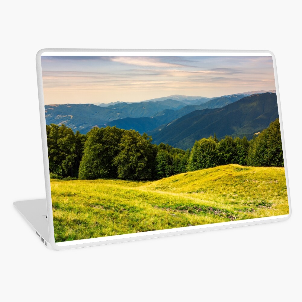 Item preview, Laptop Skin designed and sold by mike-pellinni.