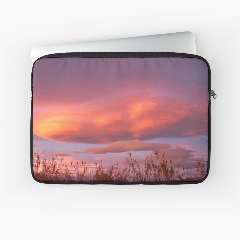 Vista previa del artículo con la obra «Funda para portátil», diseñado y vendido por Jhevva.