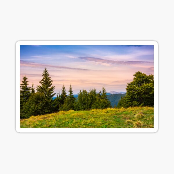 forested hills over the Brustury valley at dusk Sticker