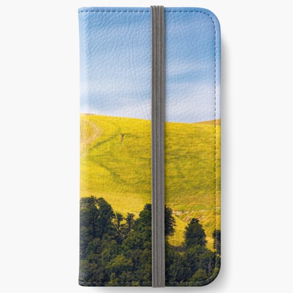 path out of birch forest to the mountains iPhone Wallet