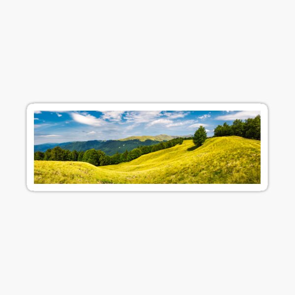 panorama with trees on the grassy hillside Sticker