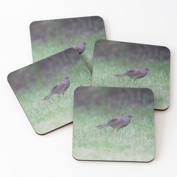 Item preview, Dunnock brid on the grass designed and sold by Colourful Wonderful.