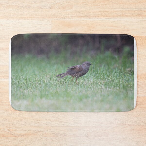 Item preview, Dunnock brid on the grass designed and sold by Colourful Wonderful.