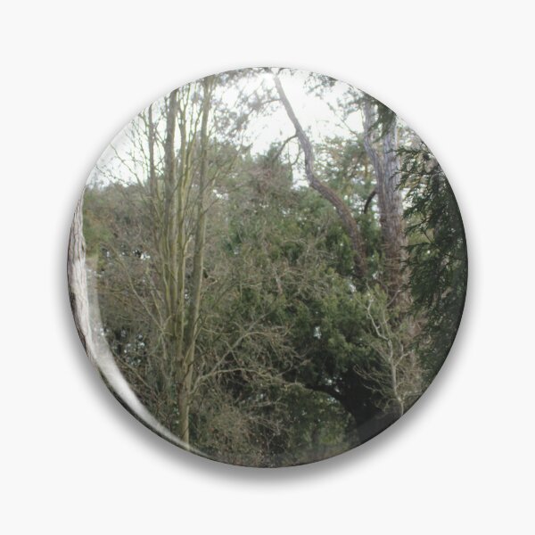 Item preview, A walk through the forest, Normandy designed and sold by lizziephotos.