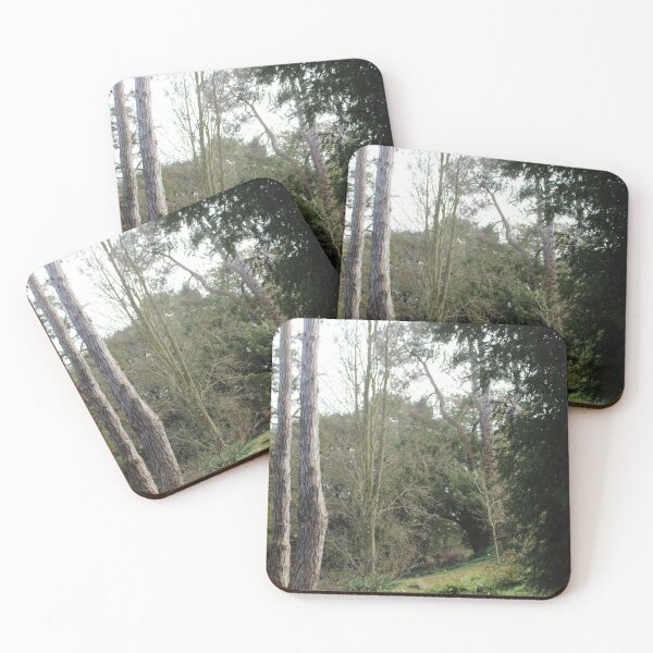 Item preview, A walk through the forest, Normandy designed and sold by lizziephotos.