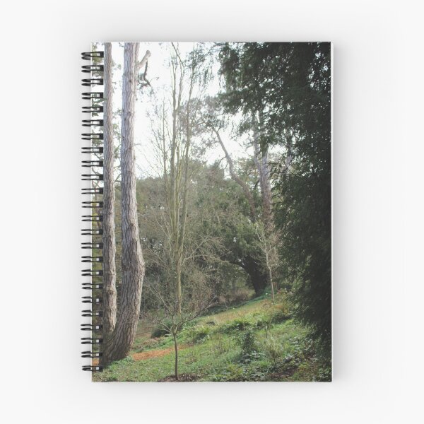 Item preview, A walk through the forest, Normandy designed and sold by lizziephotos.