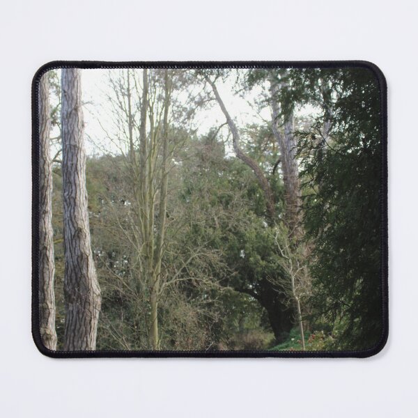 Item preview, A walk through the forest, Normandy designed and sold by lizziephotos.