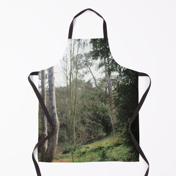 Item preview, A walk through the forest, Normandy designed and sold by lizziephotos.