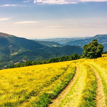 Artwork thumbnail, tree by the country road winding down the mountain by mike-pellinni