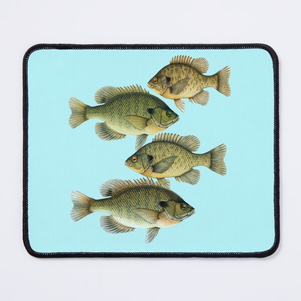 Item preview, Types of Bluegill designed and sold by Anthony Seeker.