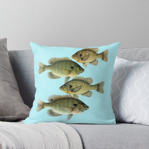 Item preview, Types of Bluegill designed and sold by Anthony Seeker.