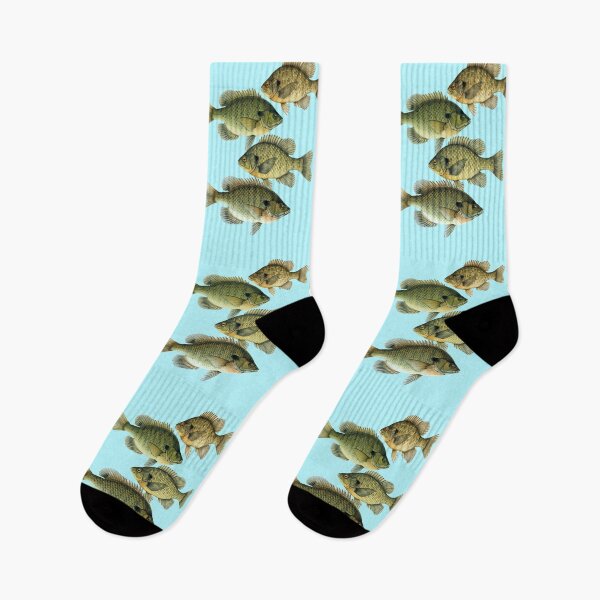 Item preview, Types of Bluegill designed and sold by Anthony Seeker.