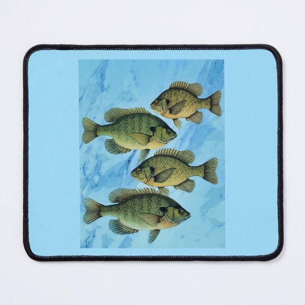 Item preview, Bluegill designed and sold by Anthony Seeker.