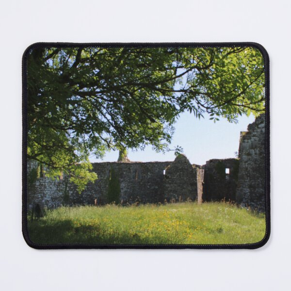 Item preview, Kilcrea Friary, Ireland designed and sold by lizziephotos.