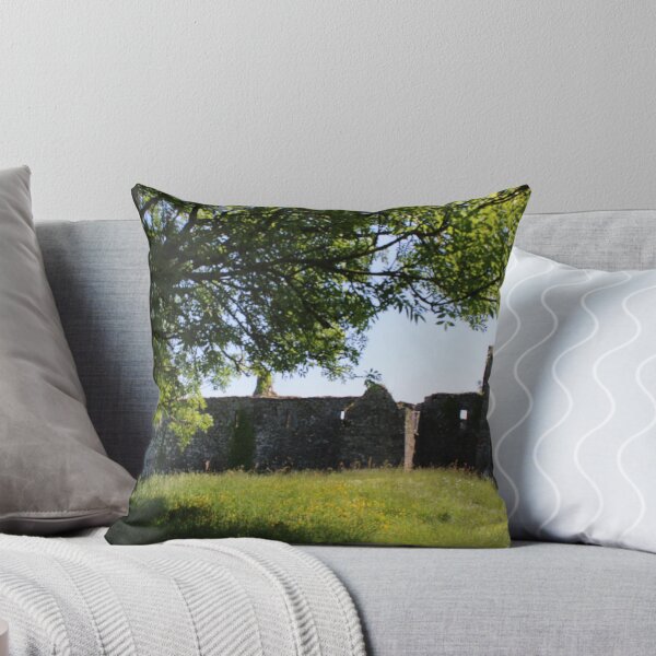 Item preview, Kilcrea Friary, Ireland designed and sold by lizziephotos.