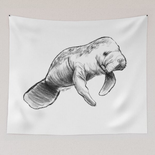 Item preview, Manatee Illustration designed and sold by Ryan Biddle.