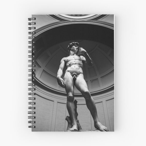 Item preview, Michelangelo's David Statue designed and sold by JLaZZ447.