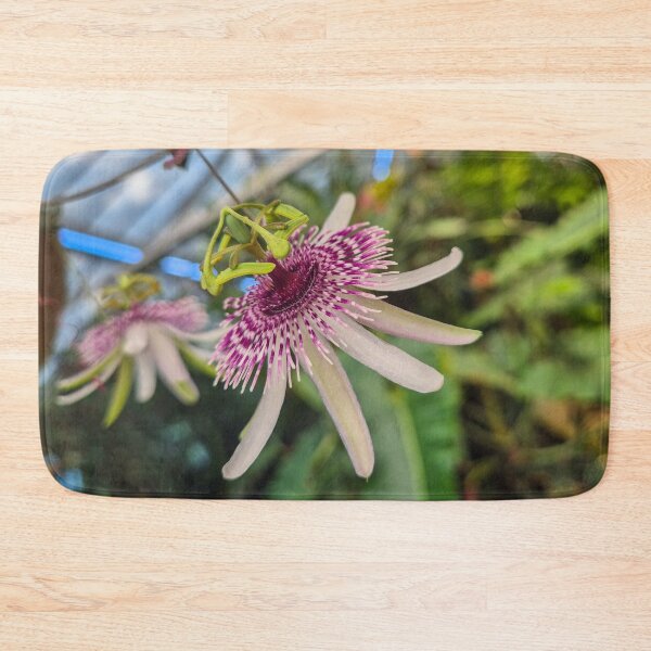 Item preview, Dream in Bloom – Passionflower in Lyon designed and sold by Paws-e-whiskers.