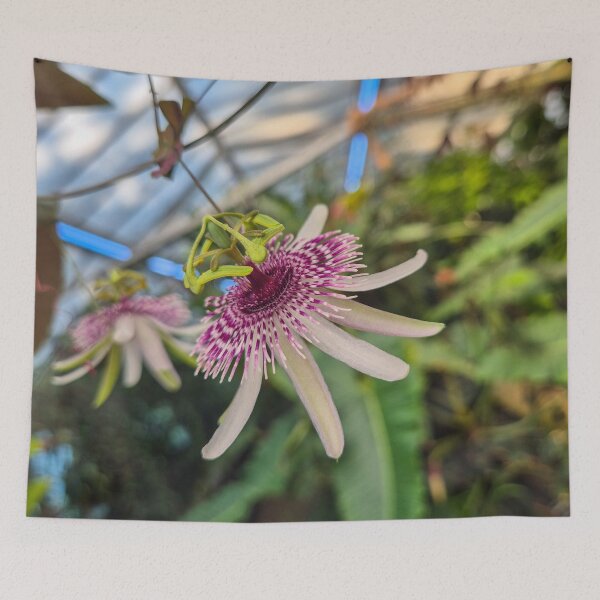 Item preview, Dream in Bloom – Passionflower in Lyon designed and sold by Paws-e-whiskers.