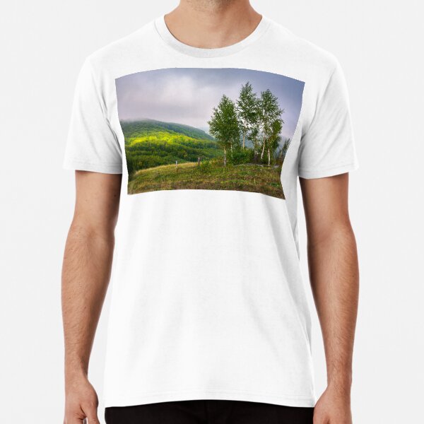 birch trees on a hillside in autumn Premium T-Shirt