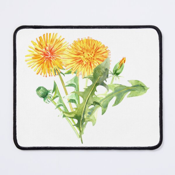 Item preview, Four yellow dandelions two bloom two closed petals and leaves designed and sold by EmeraldeaArt.