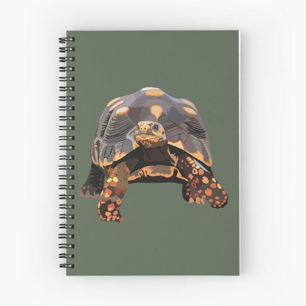 Item preview, R is for Red Footed Tortoise, Red Footed Tortoise Illustration – Tropical Tortoise Art for Reptile Enthusiasts designed and sold by PrettylittlepastelUk.